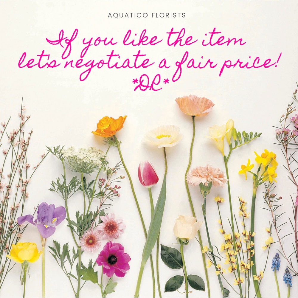 🌸🌸🌸🌸🌸🌸🌸🌸🌸🌸